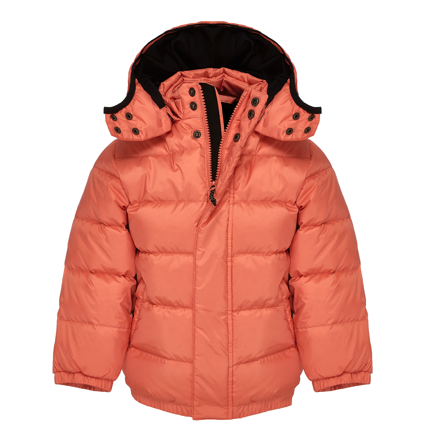 Wear Fashion :: Kids :: Jackets & :: Cintamani Iceland Ljon puffy down jacket for filled with quality duck down. - Products